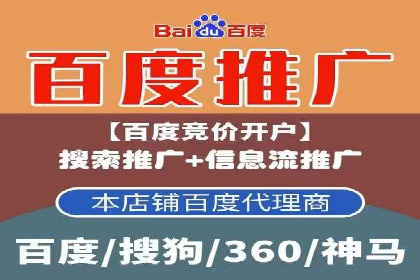 百度SEM广告策略在电商行业的成功案例
